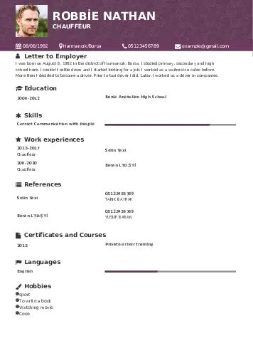 Driver resume example